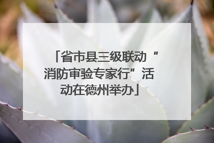 省市县三级联动“消防审验专家行”活动在德州举办