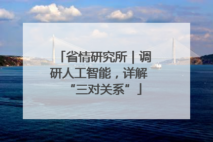 省情研究所｜调研人工智能，详解“三对关系”
