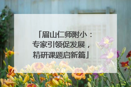 眉山仁师附小：专家引领促发展，精研课题启新篇