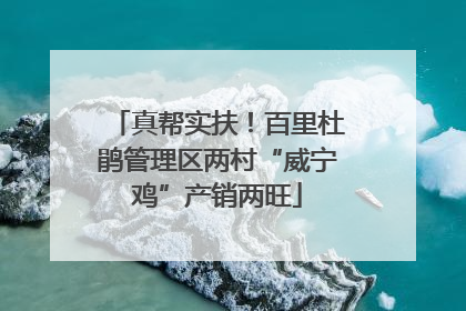 真帮实扶！百里杜鹃管理区两村“威宁鸡”产销两旺