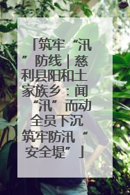 筑牢“汛”防线｜慈利县阳和土家族乡：闻“汛”而动 全员下沉筑牢防汛“安全堤”