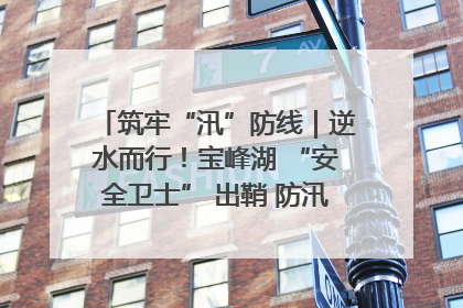 筑牢“汛”防线｜逆水而行！宝峰湖 “安全卫士” 出鞘 防汛应急再添硬核力量