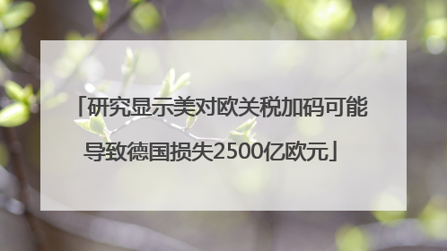 研究显示美对欧关税加码可能导致德国损失2500亿欧元