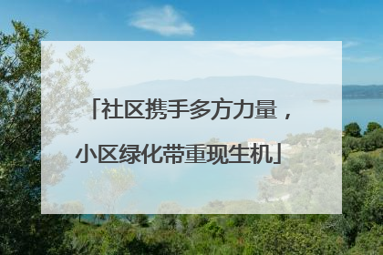 社区携手多方力量，小区绿化带重现生机