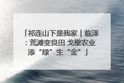 祁连山下是我家｜临泽：荒滩变良田 戈壁农业添“绿”生“金”