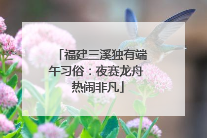 福建三溪独有端午习俗：夜赛龙舟 热闹非凡