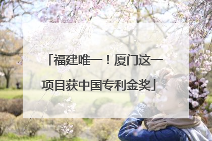 福建唯一！厦门这一项目获中国专利金奖