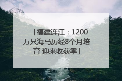 福建连江：1200万只海马历经8个月培育 迎来收获季
