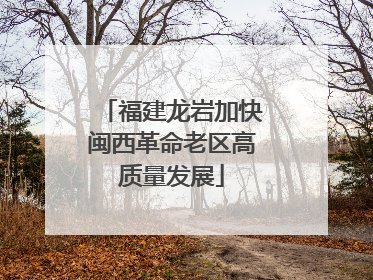 福建龙岩加快闽西革命老区高质量发展