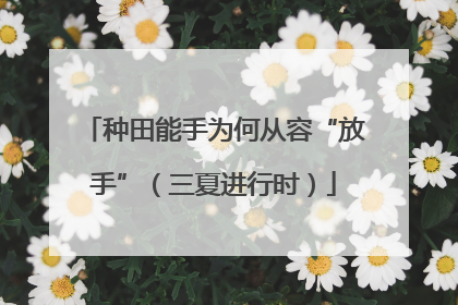 种田能手为何从容“放手”（三夏进行时）