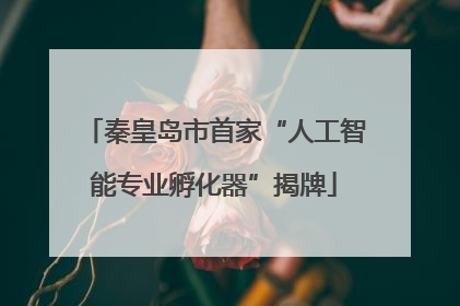 秦皇岛市首家“人工智能专业孵化器”揭牌