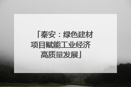 秦安：绿色建材项目赋能工业经济高质量发展