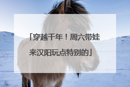 穿越千年！周六带娃来汉阳玩点特别的