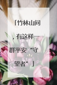 竹林山间，有这样一群平安“守望者”