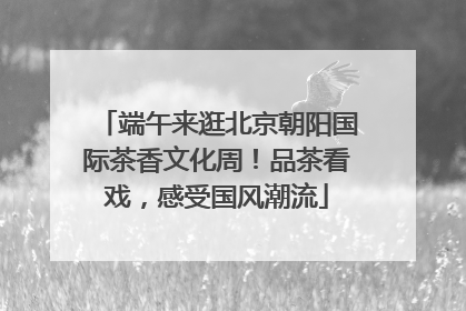 端午来逛北京朝阳国际茶香文化周！品茶看戏，感受国风潮流