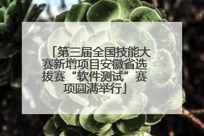第三届全国技能大赛新增项目安徽省选拔赛“软件测试”赛项圆满举行