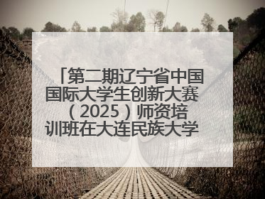 第二期辽宁省中国国际大学生创新大赛（2025）师资培训班在大连民族大学成功举办