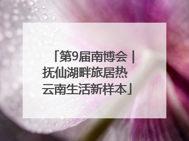 第9届南博会｜抚仙湖畔旅居热 云南生活新样本
