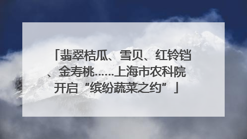 翡翠桔瓜、雪贝、红铃铛、金寿桃……上海市农科院开启“缤纷蔬菜之约”