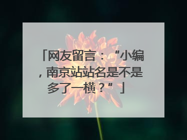 网友留言：“小编，南京站站名是不是多了一横？”
