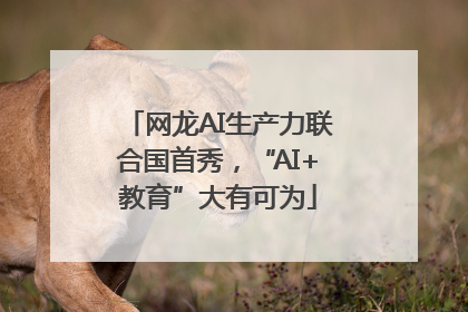 网龙AI生产力联合国首秀，“AI+教育”大有可为