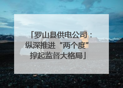 罗山县供电公司：纵深推进“两个度” 撑起监督大格局