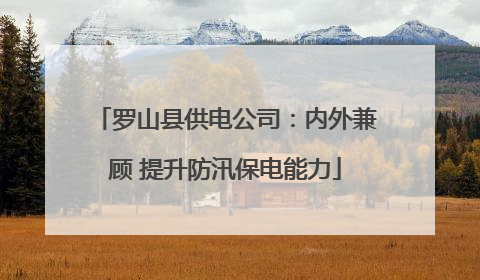 罗山县供电公司：内外兼顾 提升防汛保电能力