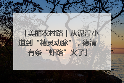 美丽农村路｜从泥泞小道到“精灵动脉”，德清有条“虾路”火了