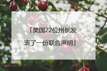 美国22位州长发表了一份联合声明