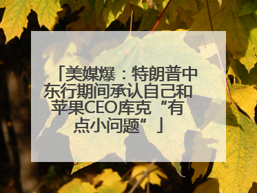 美媒爆：特朗普中东行期间承认自己和苹果CEO库克“有点小问题”