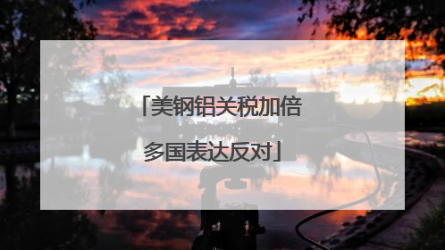 美钢铝关税加倍 多国表达反对