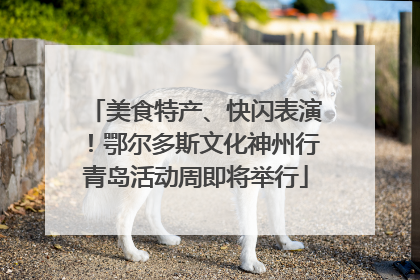 美食特产、快闪表演！鄂尔多斯文化神州行青岛活动周即将举行
