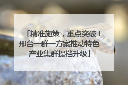 精准施策，重点突破！邢台一群一方案推动特色产业集群提档升级
