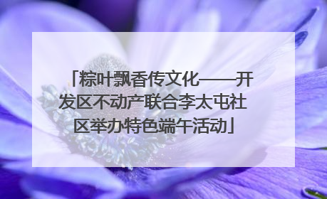 粽叶飘香传文化——开发区不动产联合李太屯社区举办特色端午活动
