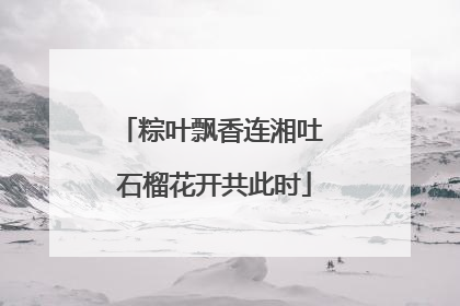 粽叶飘香连湘吐 石榴花开共此时