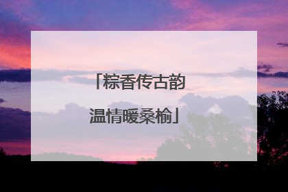 粽香传古韵 温情暖桑榆