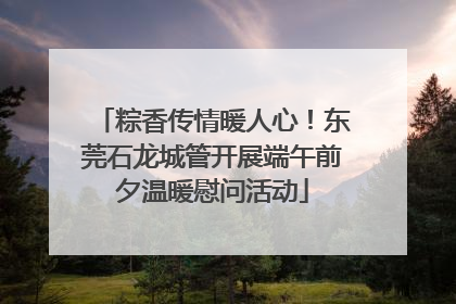 粽香传情暖人心！东莞石龙城管开展端午前夕温暖慰问活动