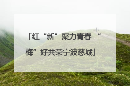 红“新”聚力青春 “梅”好共荣宁波慈城