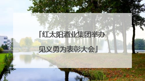 红太阳酒业集团举办见义勇为表彰大会