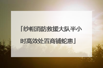纱帽消防救援大队半小时高效处置商铺蛇患