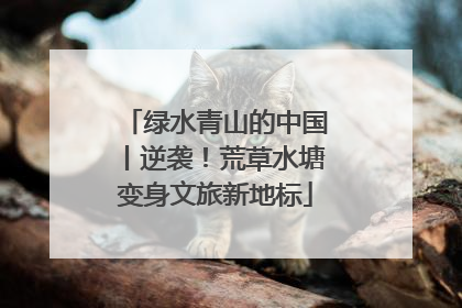 绿水青山的中国丨逆袭！荒草水塘变身文旅新地标