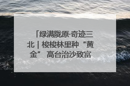 绿满陇原·奇迹三北｜梭梭林里种“黄金” 高台治沙致富很“从容”