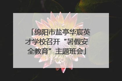 绵阳市盐亭华宸英才学校召开“暑假安全教育”主题班会