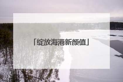 绽放海港新颜值