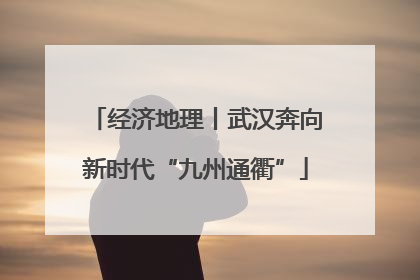 经济地理丨武汉奔向新时代“九州通衢”