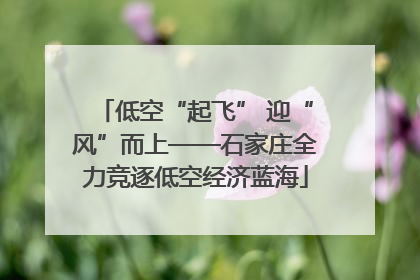 低空“起飞” 迎“风”而上——石家庄全力竞逐低空经济蓝海