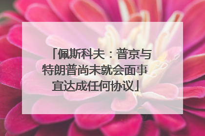 佩斯科夫：普京与特朗普尚未就会面事宜达成任何协议