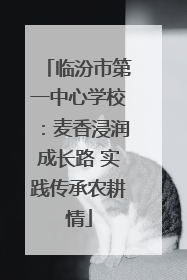 临汾市第一中心学校：麦香浸润成长路 实践传承农耕情