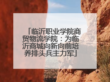 临沂职业学院商贸物流学院：为临沂商城向新向前培养排头兵主力军