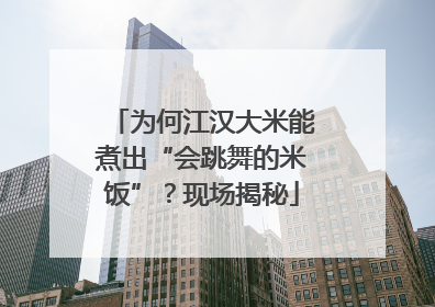 为何江汉大米能煮出“会跳舞的米饭”？现场揭秘